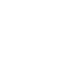 Westech White Logo - Hoskins Group