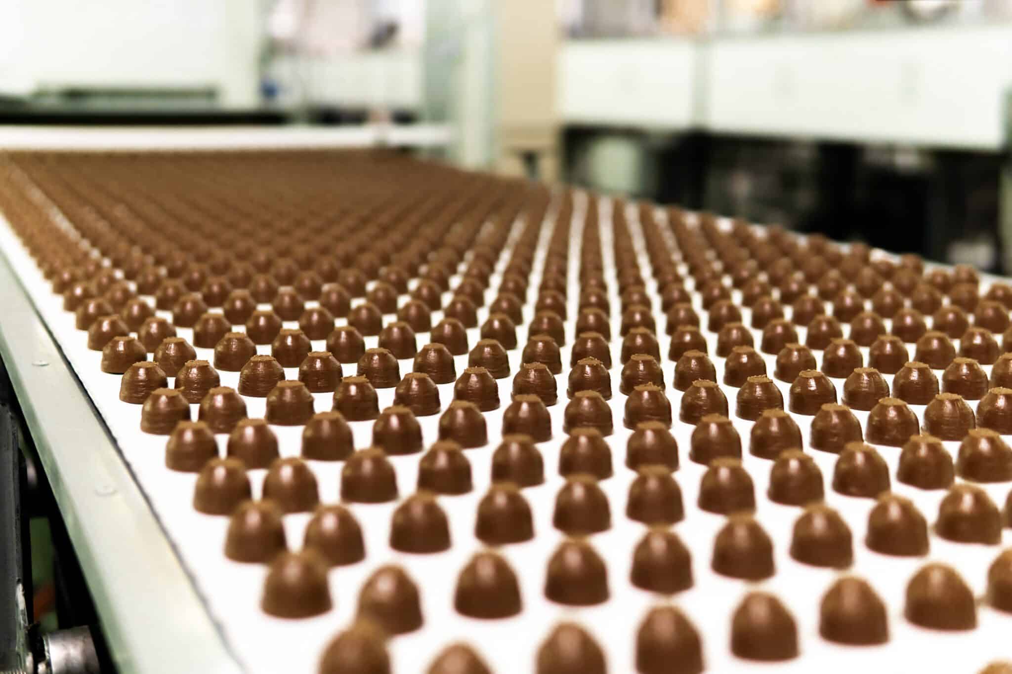rows of toppings for chocolates manufactured by machine, on a conveyor of a chocolate factory