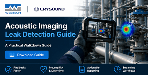Cyrsound Download Guide